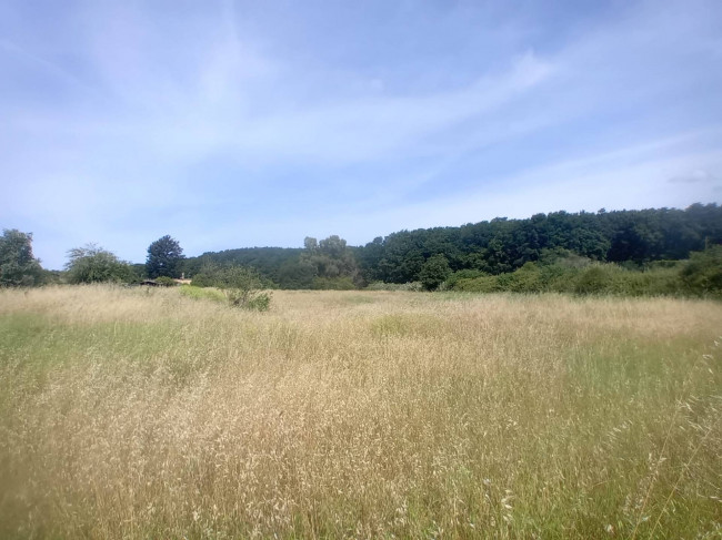 Terreno Agricolo in vendita a Nettuno