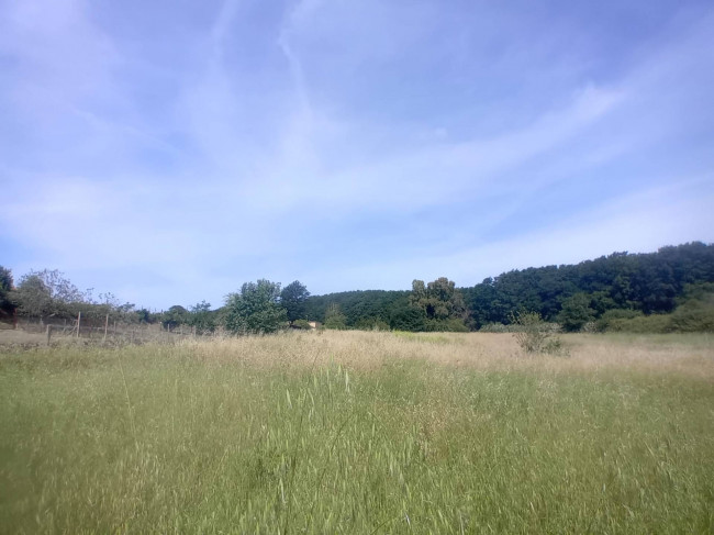 Terreno Agricolo in vendita a Nettuno
