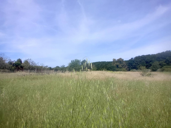 Terreno Agricolo in vendita a Nettuno