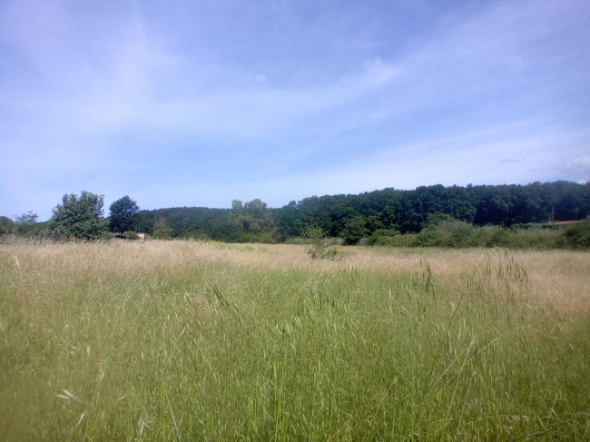 Terreno Agricolo in vendita a Nettuno