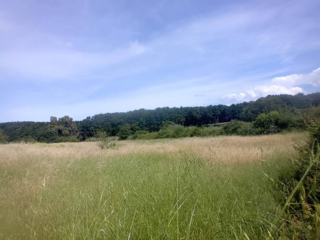 Terreno Agricolo in vendita a Nettuno