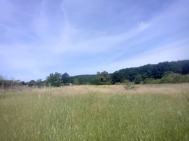 Terreno Agricolo in vendita a Nettuno