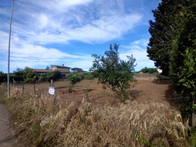 Terreno edificabile in vendita a Nettuno
