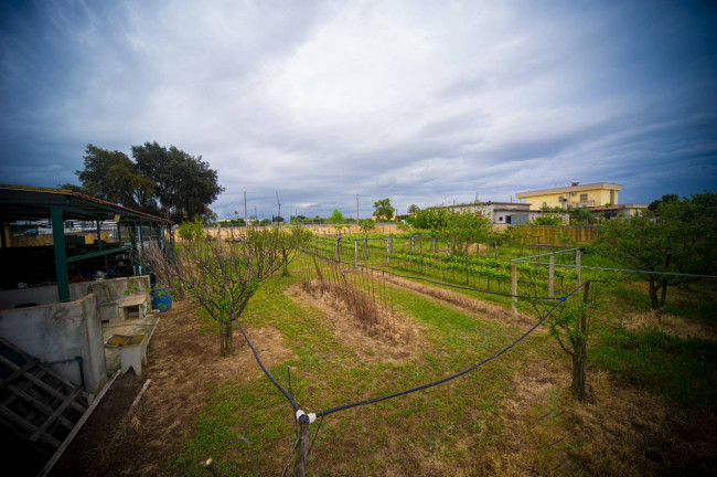 Villa in vendita a Nettuno