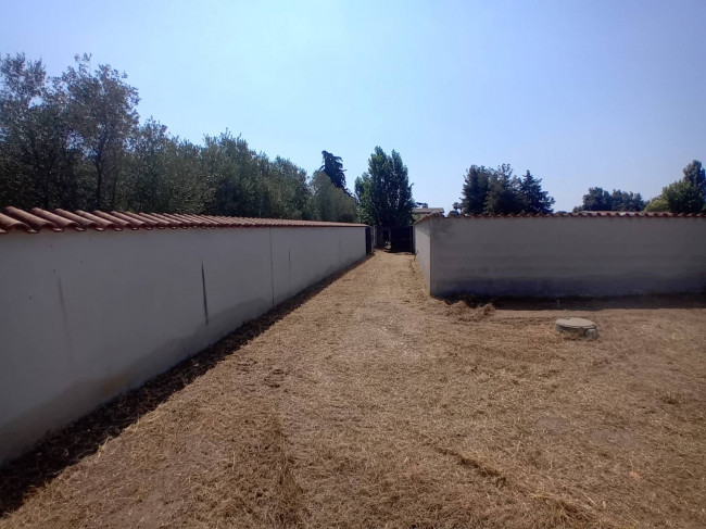 Villette a schiera in vendita a Nettuno