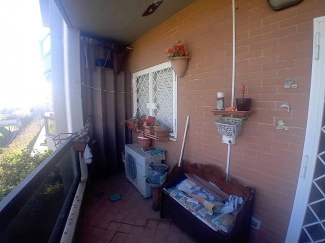 Appartamento in affitto a Nettuno