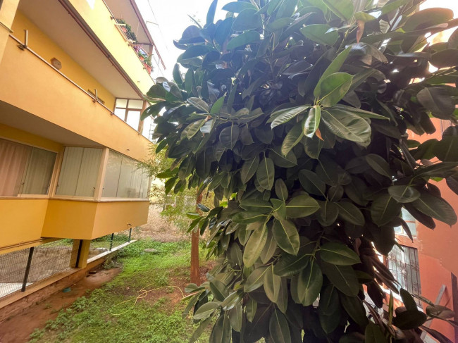 Appartamento in affitto a Nettuno