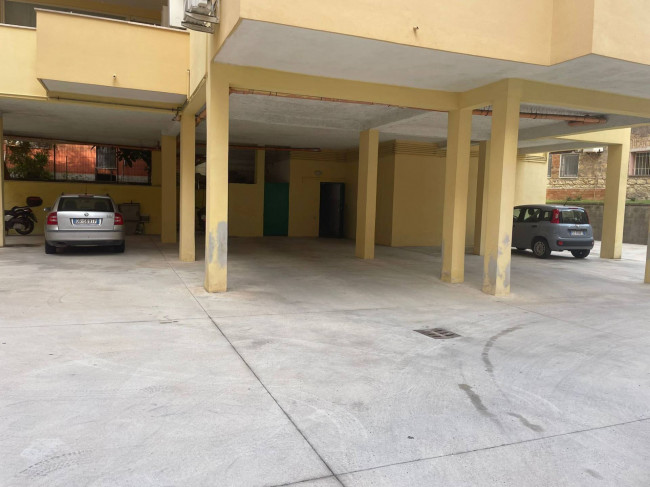 Appartamento in affitto a Nettuno