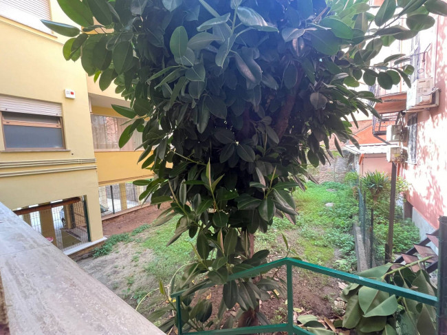 Appartamento in affitto a Nettuno