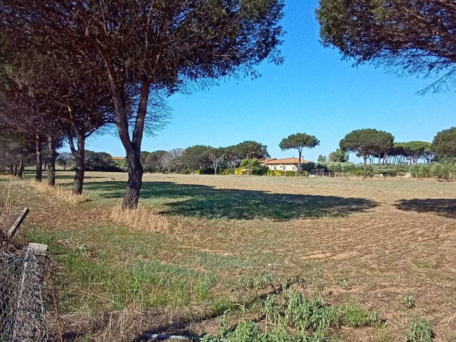 Terreno Agricolo in vendita a Nettuno