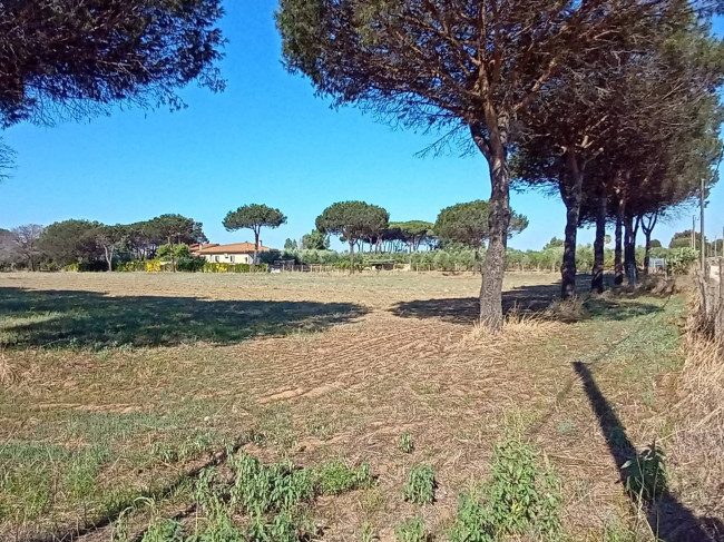 Terreno Agricolo in vendita a Nettuno