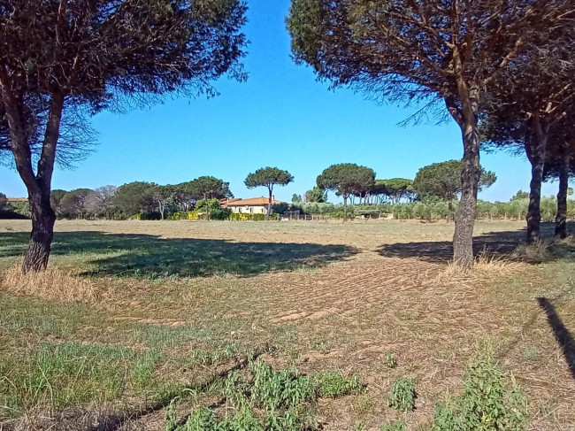 Terreno Agricolo in vendita a Nettuno