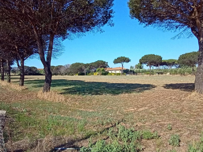 Terreno Agricolo in vendita a Nettuno
