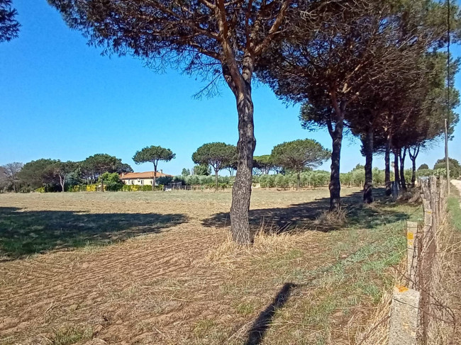 Terreno Agricolo in vendita a Nettuno