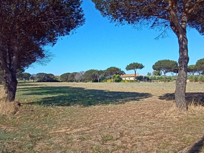Terreno Agricolo in vendita a Nettuno
