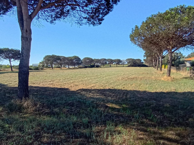 Terreno Agricolo in vendita a Nettuno
