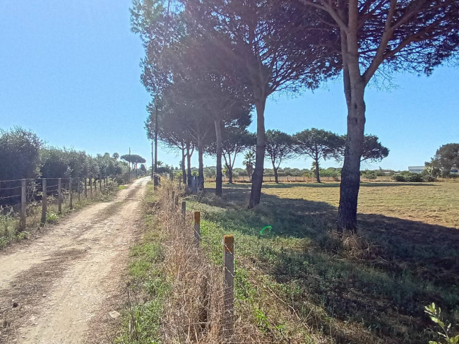 Terreno Agricolo in vendita a Nettuno