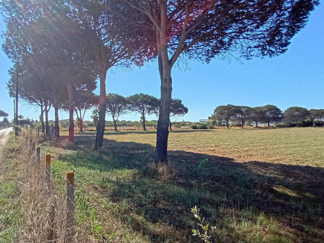 Terreno Agricolo in vendita a Nettuno