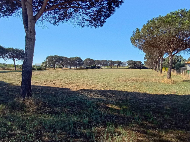 Terreno Agricolo in vendita a Nettuno