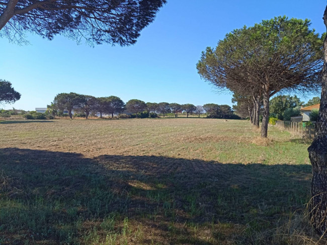Terreno Agricolo in vendita a Nettuno