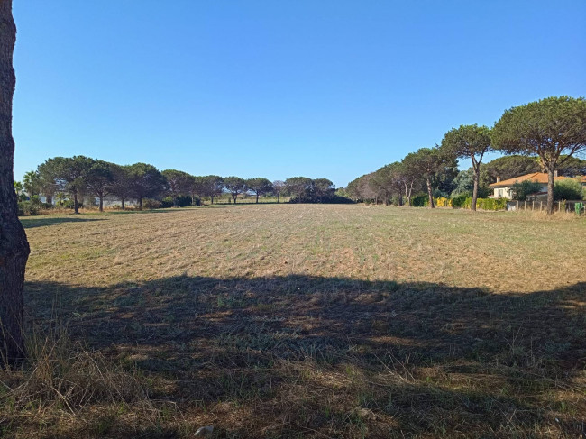 Terreno Agricolo in vendita a Nettuno