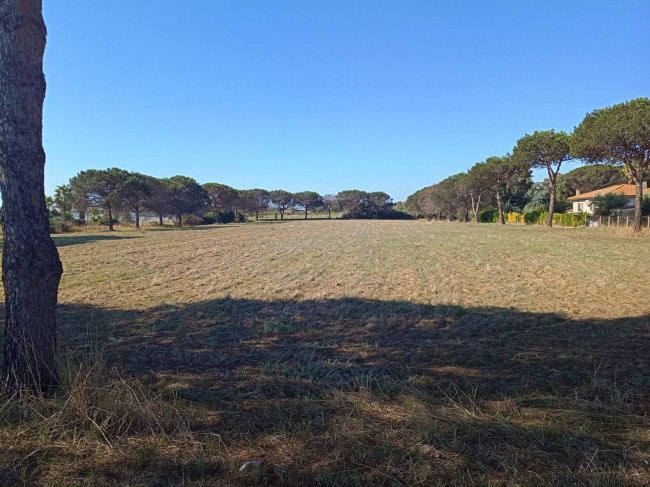 Terreno Agricolo in vendita a Nettuno
