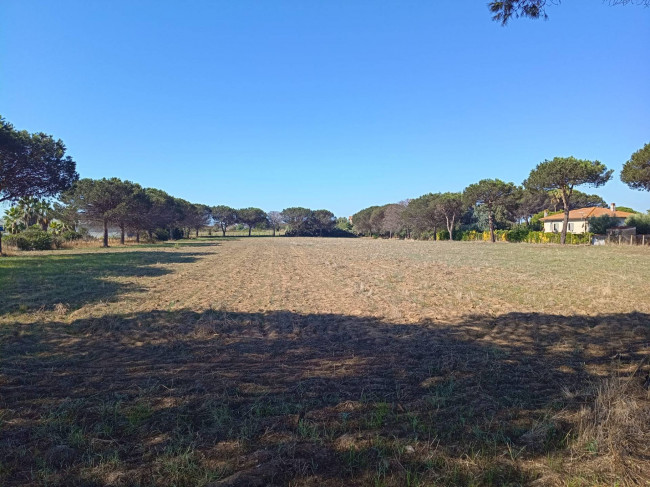 Terreno Agricolo in vendita a Nettuno