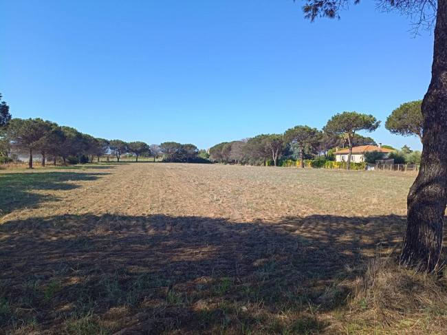 Terreno Agricolo in vendita a Nettuno