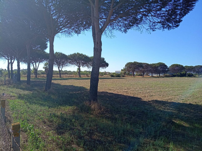 Terreno Agricolo in vendita a Nettuno