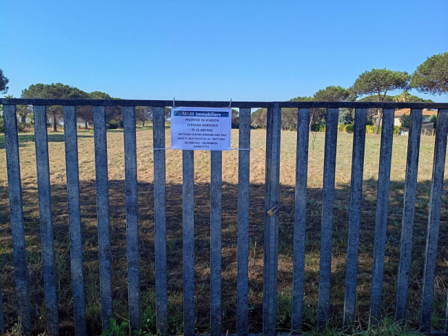 Terreno Agricolo in vendita a Nettuno