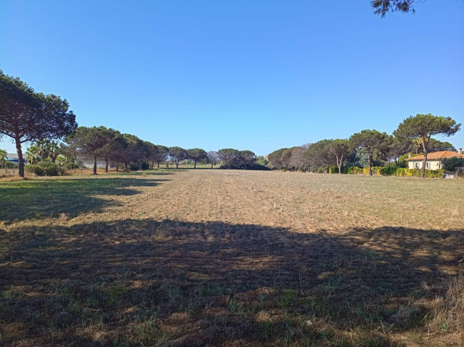 Terreno Agricolo in vendita a Nettuno