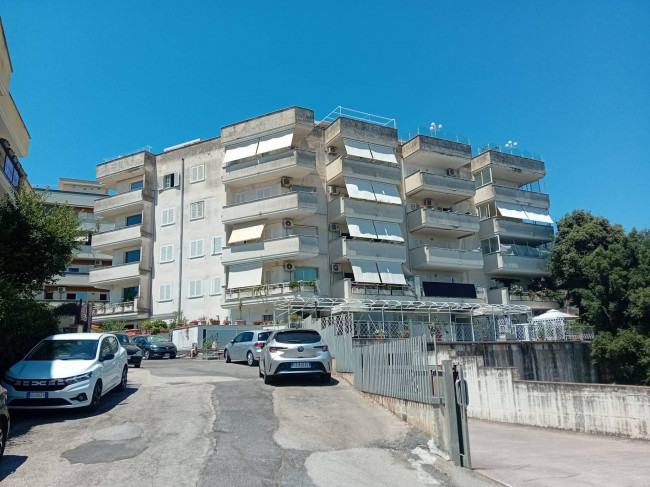 Appartamento in affitto a Nettuno