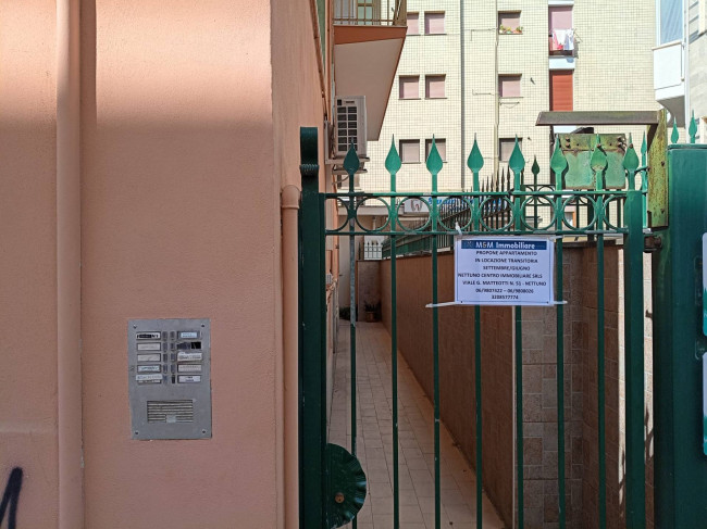 Appartamento in affitto a Nettuno