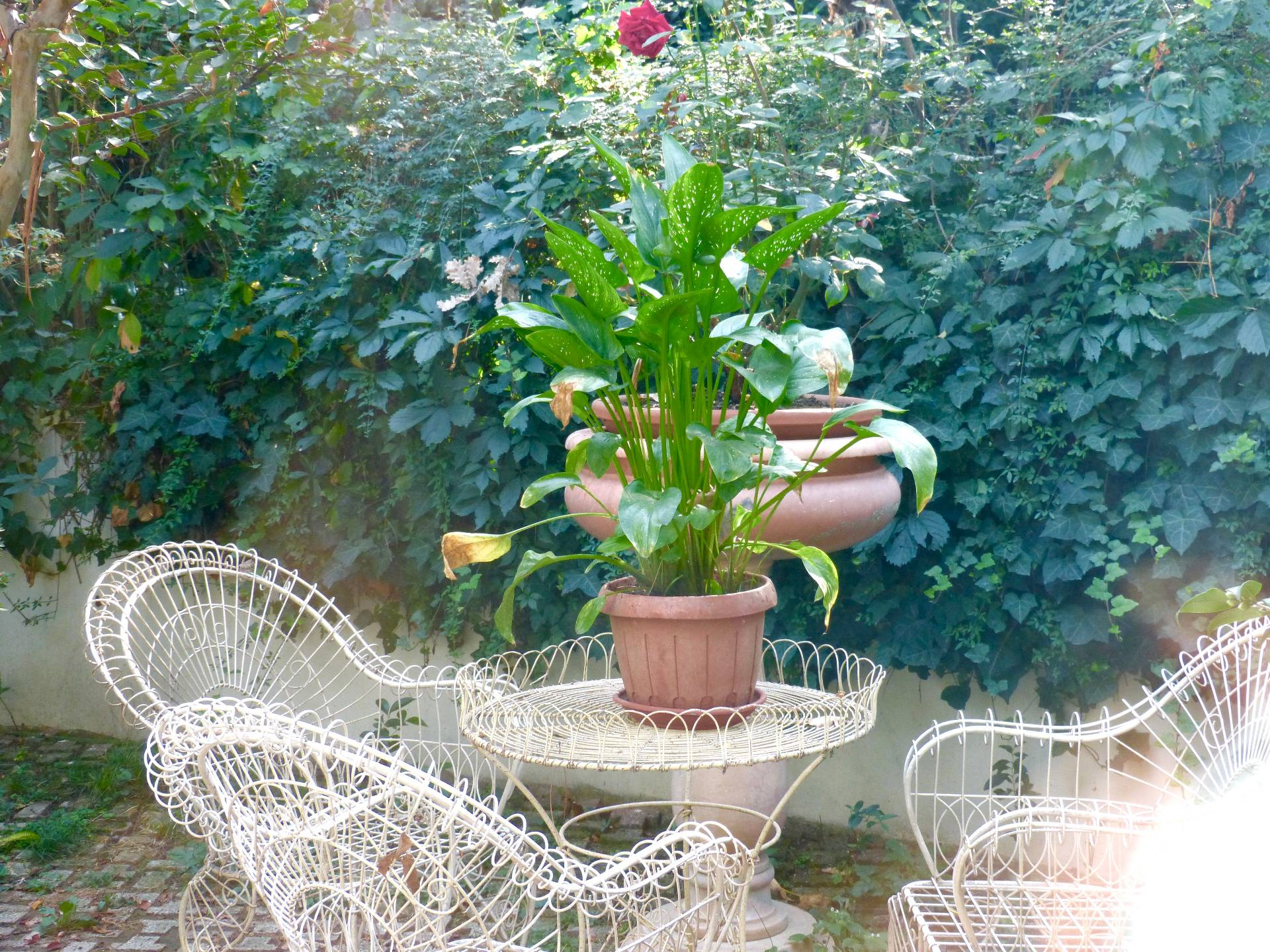 Villa Unifamiliare - Indipendente BOLOGNA vendita  Saragozza  BolognaCentro Srl