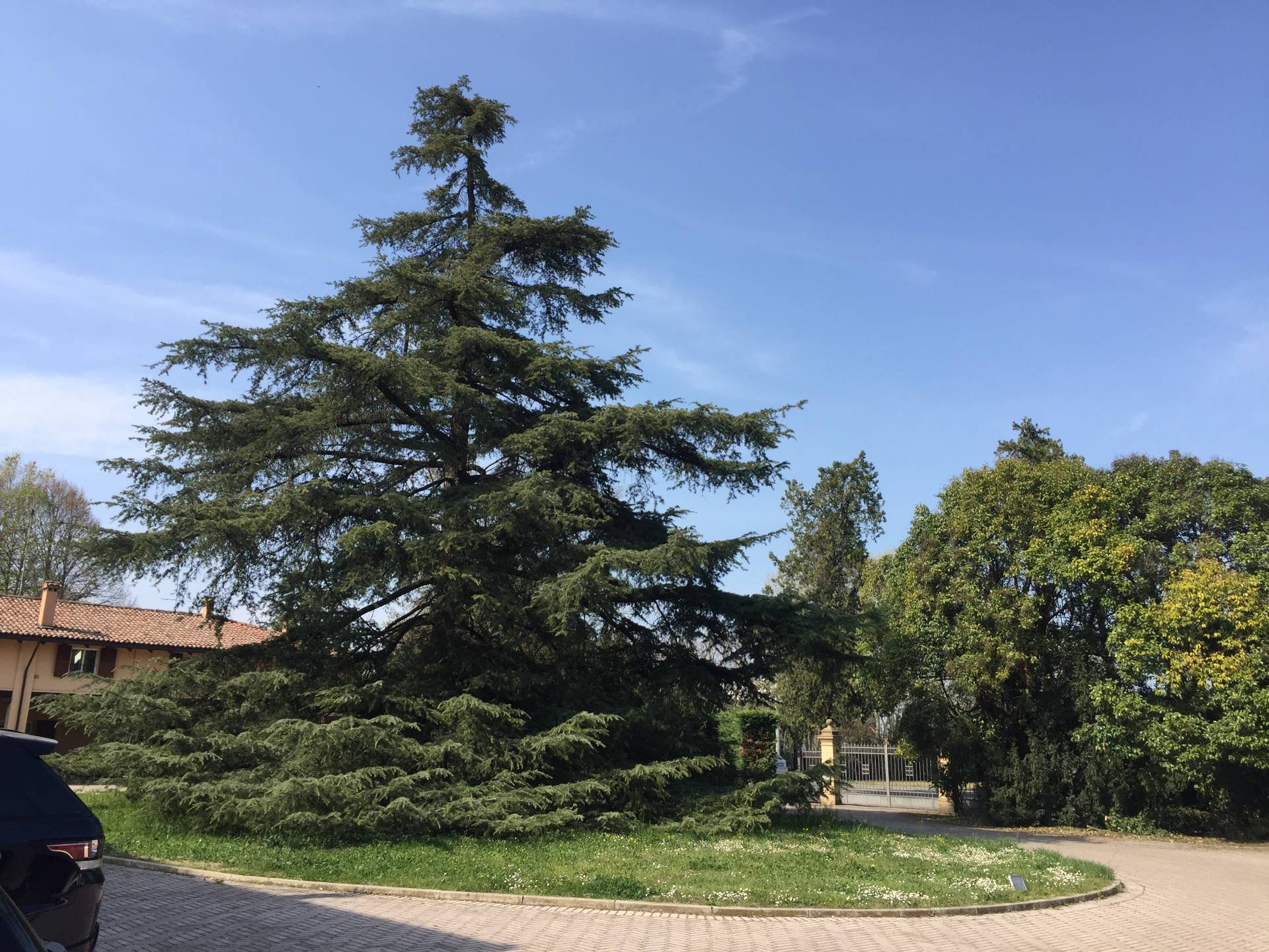  san-lazzaro-di-savena vendita quart: san lazzaro di savena bolognacentro-srl