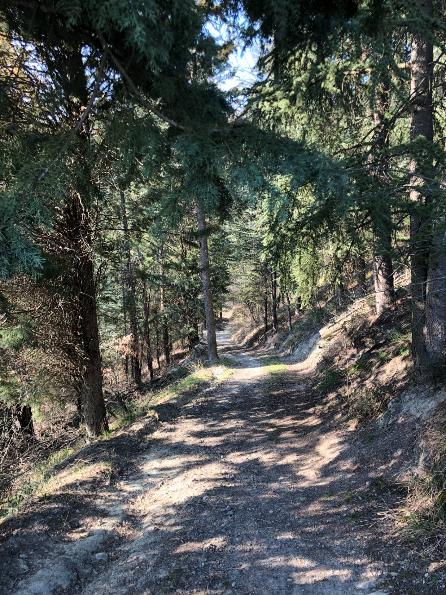 Casa indipendente in vendita a Sasso Marconi (BO)