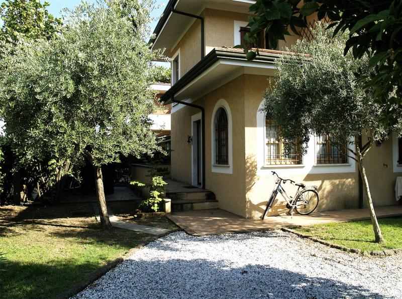 Villa MASSA vendita  Marina di Massa  L