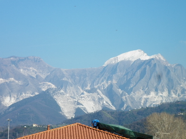 Appartamento CARRARA vendita  Marina di Carrara  L