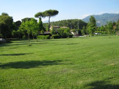 Rustico - Cascina PIETRASANTA vendita  Traversagna  L