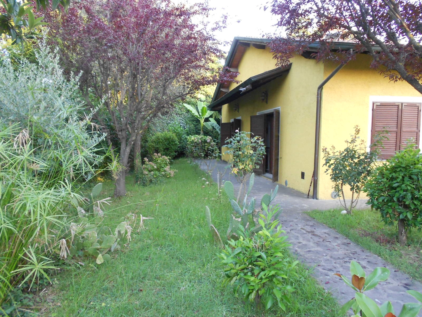 Villa PIETRASANTA vendita    L