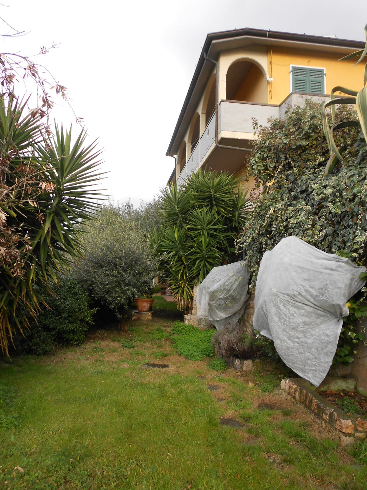 Villa CARRARA vendita    L