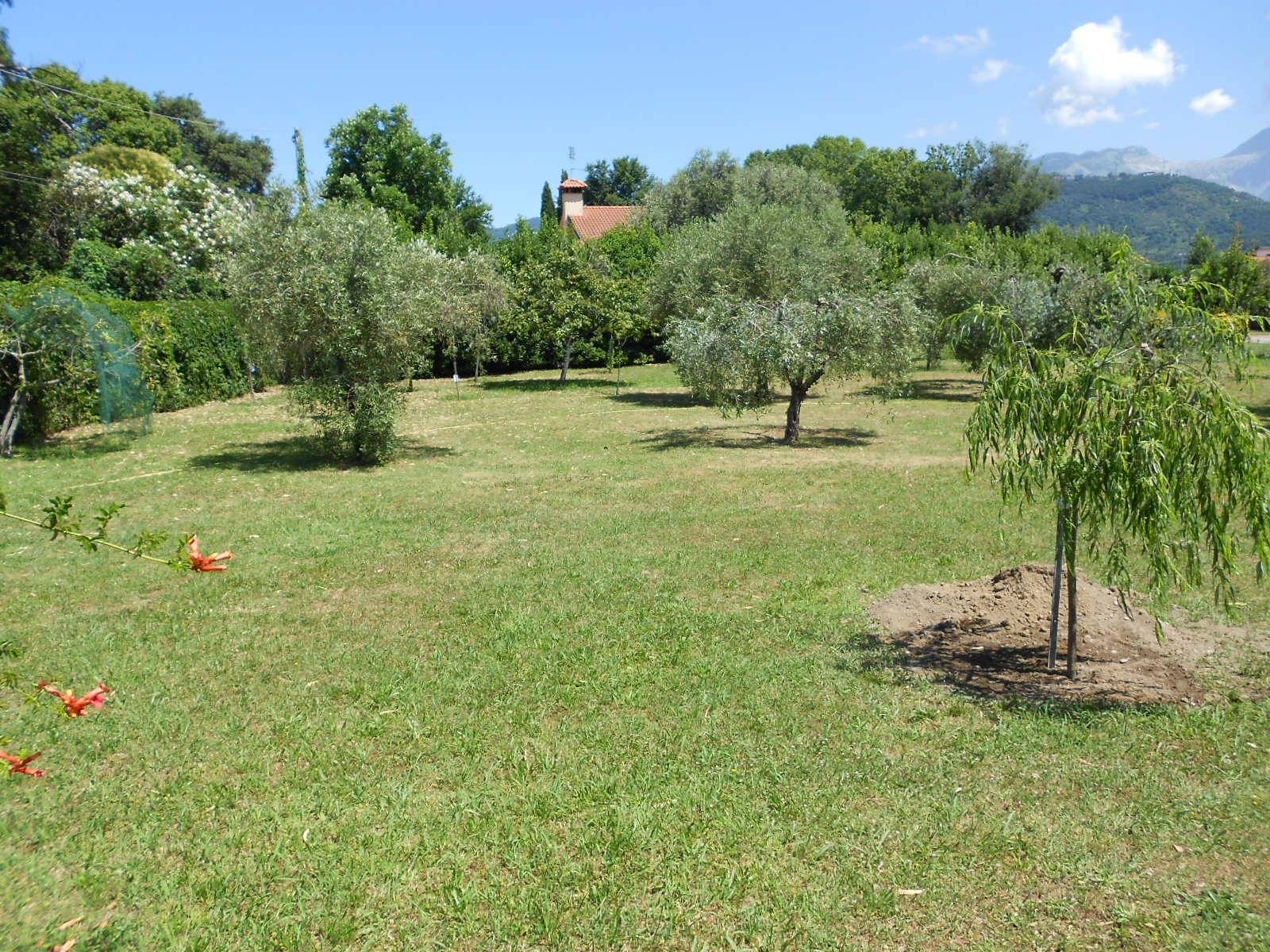 Villa CARRARA vendita  Marina di Carrara  L