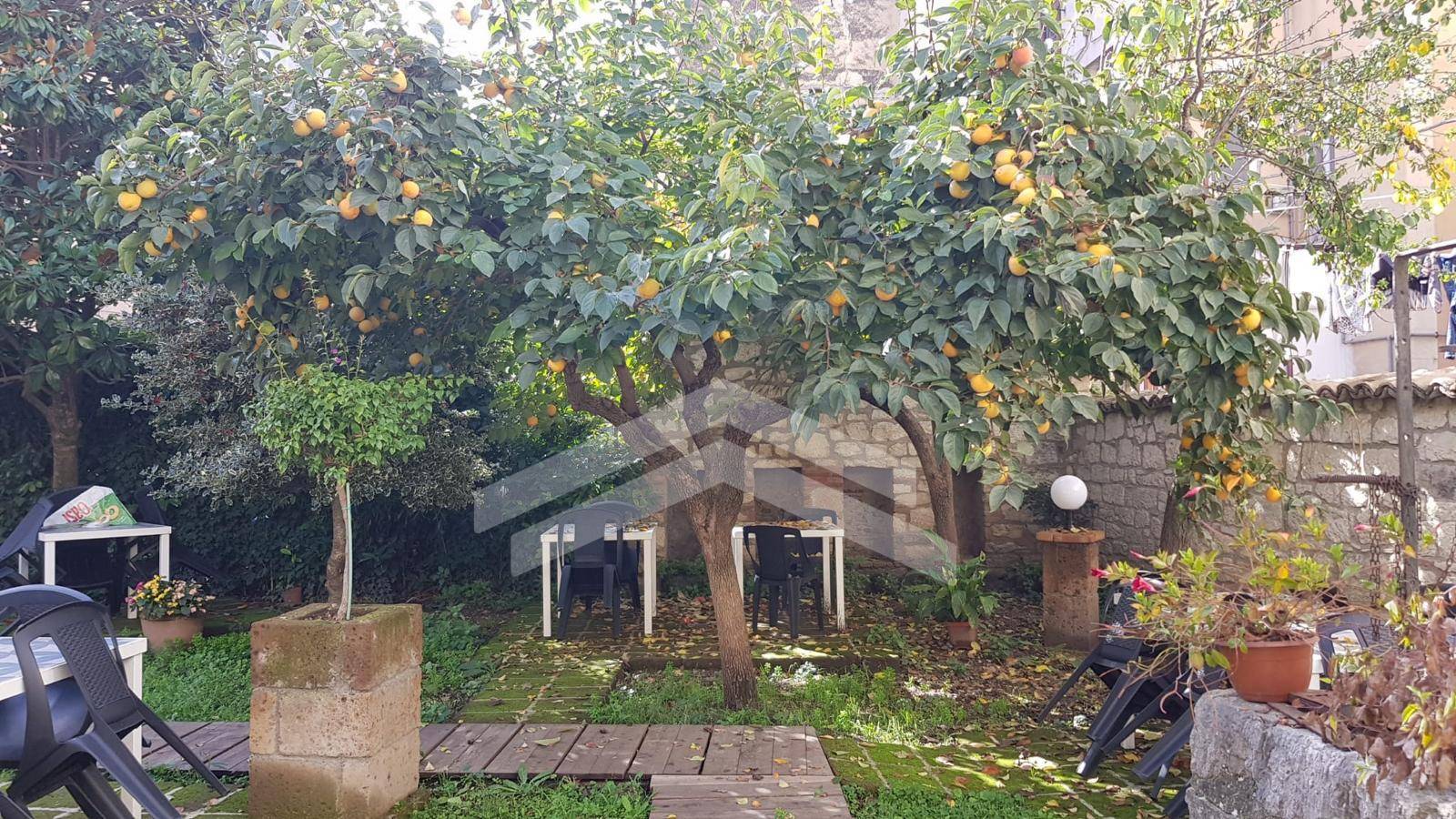 Attività commerciale in vendita a Campobasso (CB)