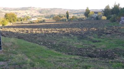 Terreno Agricolo in Vendita a Campodipietra