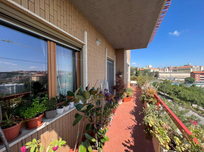 Appartamento in vendita a Campobasso