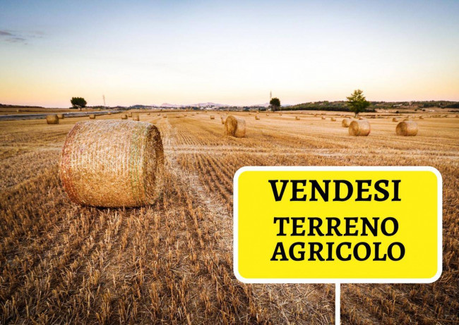 Terreno Agricolo in vendita a Campobasso