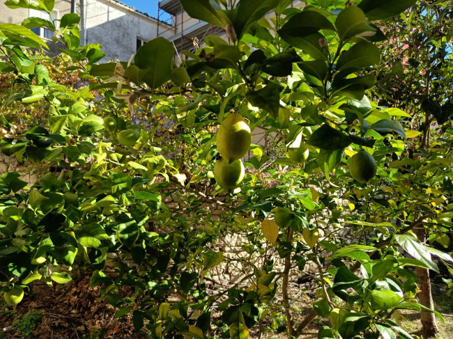 Cielo Terra in vendita a Guardialfiera