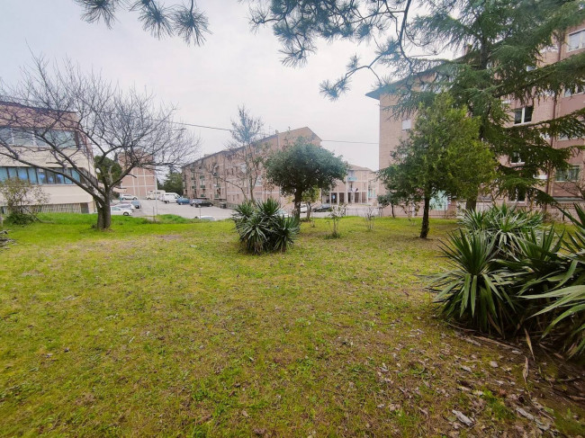 Appartamento in vendita a Campobasso