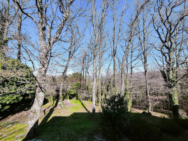 Casa singola in vendita a Ripalimosani
