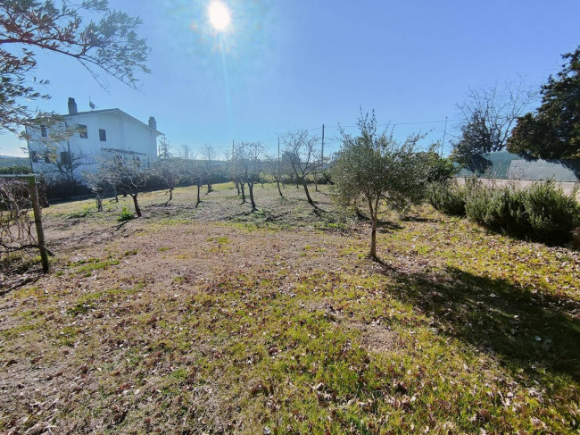 Casa singola in vendita a Ripalimosani